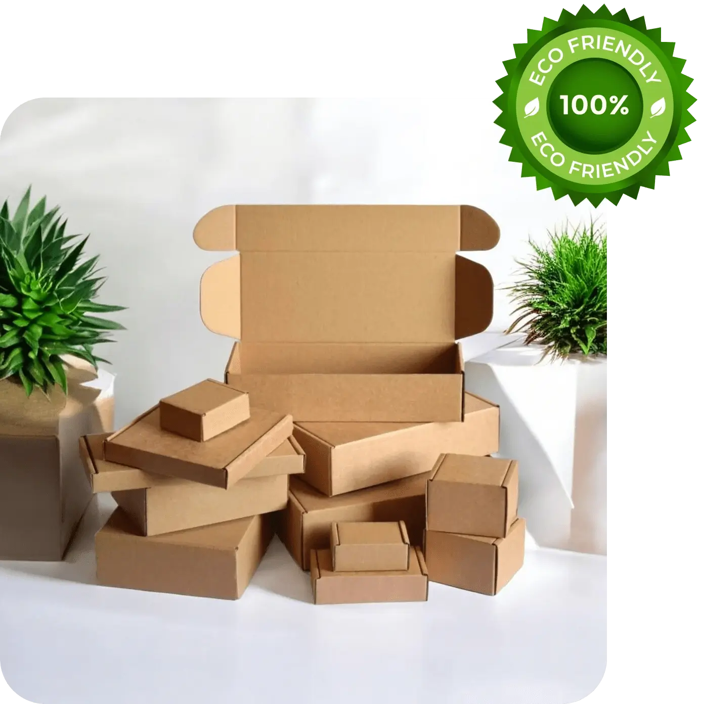 Custom Packaging Boxes