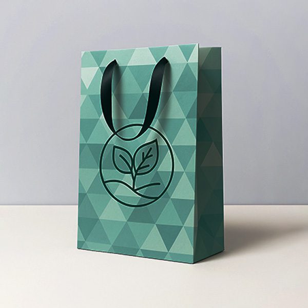 custom logo Printed Paper Bags