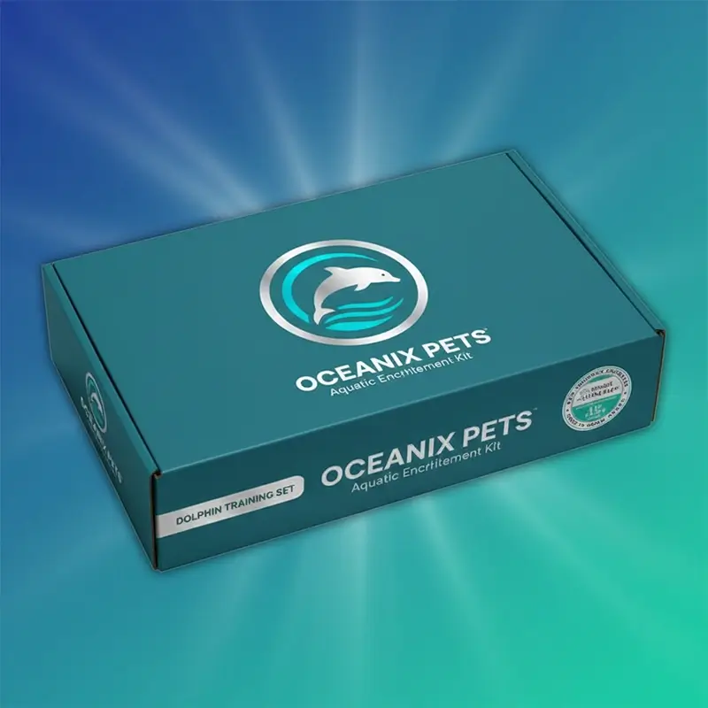 Custom School Kit Packaging Boxes