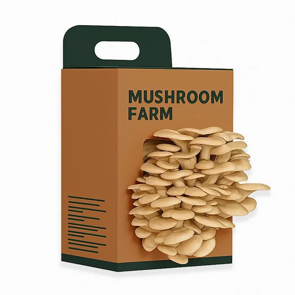 Custom Edible Fungi Boxes